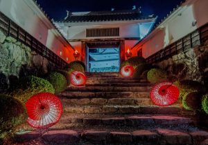 郡上八幡城の紅葉　和傘　ライトアップイベント　岐阜県郡上市八幡町の観光・撮影スポットの画像や写真