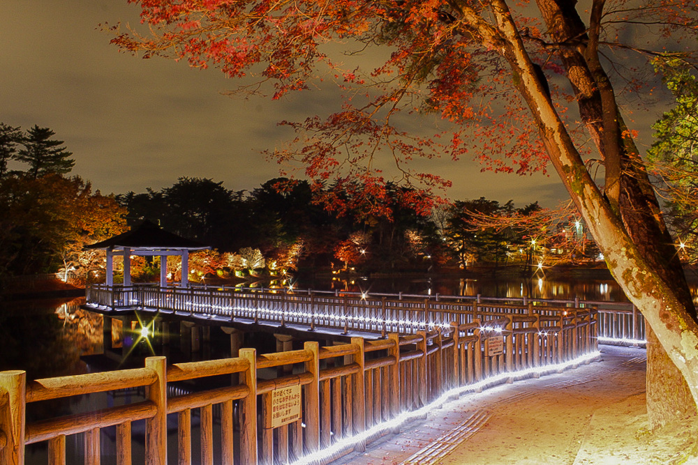 岡崎東公園 紅葉祭り 愛知県岡崎市の観光 撮影スポットの名所 東海カメラマップ