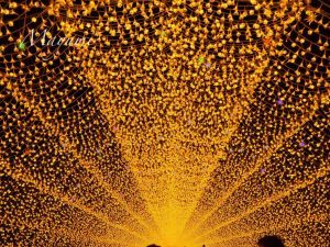 なばなの里、イルミネーション、12月冬、三重県桑名市の観光・撮影スポットの画像と写真