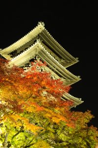 興正寺　五重の塔　紅葉　ライトアップ　名古屋市昭和区八事の観光・撮影スポットの画像や写真