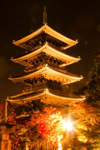 興正寺　五重の塔　紅葉　ライトアップ　名古屋市昭和区八事の観光・撮影スポットの画像や写真