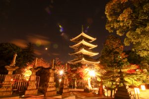 興正寺　五重の塔　紅葉　ライトアップ　名古屋市昭和区八事の観光・撮影スポットの画像や写真
