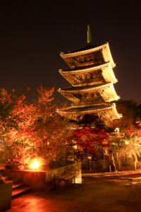 興正寺　五重の塔　紅葉　ライトアップ　名古屋市昭和区八事の観光・撮影スポットの画像や写真