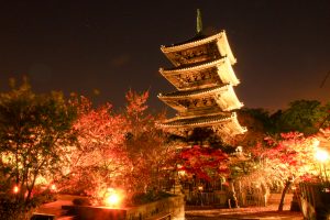 興正寺　五重の塔　紅葉　ライトアップ　名古屋市昭和区八事の観光・撮影スポットの画像や写真