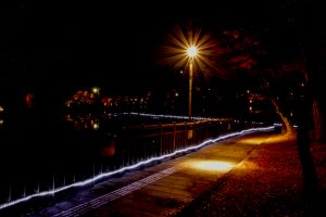 岡崎東公園　紅葉　ライトアップ　夜景　愛知県岡崎市の観光・撮影スポットの画像や写真