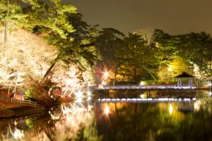 岡崎東公園　紅葉　ライトアップ　夜景　愛知県岡崎市の観光・撮影スポットの画像や写真