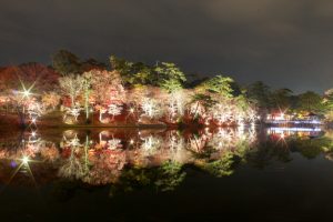 岡崎東公園　紅葉　ライトアップ　夜景　愛知県岡崎市の観光・撮影スポットの画像や写真