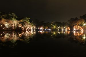 岡崎東公園　紅葉　ライトアップ　夜景　愛知県岡崎市の観光・撮影スポットの画像や写真