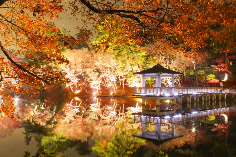 岡崎東公園 紅葉祭り 愛知県岡崎市の観光 撮影スポットの名所 東海カメラマップ