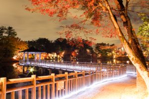 岡崎東公園　紅葉　ライトアップ　夜景　愛知県岡崎市の観光・撮影スポットの画像や写真
