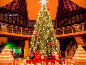 河川環境楽園オアシスパーク　クリスマスイルミネーション　ツリー　岐阜県各務原市川島の観光・撮影スポットの画像や写真