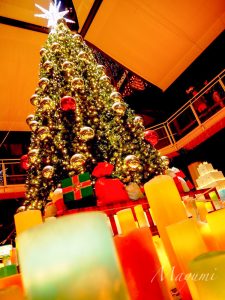 河川環境楽園オアシスパーク　クリスマスイルミネーション　ツリー　岐阜県各務原市川島の観光・撮影スポットの画像や写真