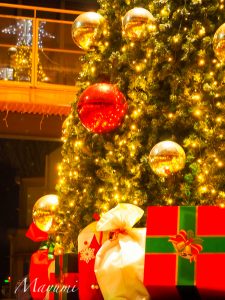 河川環境楽園オアシスパーク　クリスマスイルミネーション　ツリー　岐阜県各務原市川島の観光・撮影スポットの画像や写真