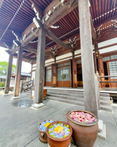 法盛寺、花手水、5月夏、三重県桑名市の観光・撮影スポットの名所