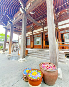 法盛寺、花手水、5月夏、三重県桑名市の観光・撮影スポットの名所