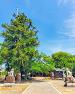 石刀神社、6月夏、愛知県一宮市の観光・撮影スポットの名所