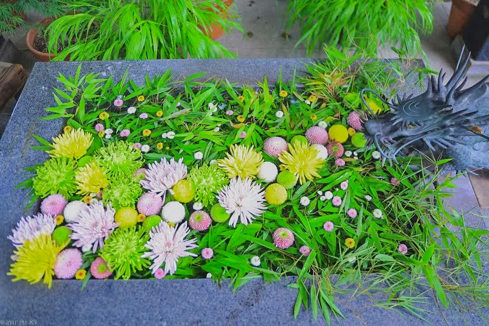 熊野神社、花手水舎、7月夏、愛知県東海市の観光・撮影スポットの名所