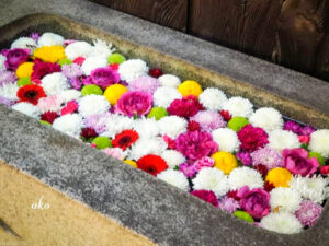 菅生神社、花手水舎、11月秋、愛知県岡崎市の観光・撮影スポットの名所