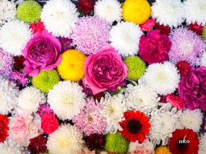 菅生神社、花手水舎、11月秋、愛知県岡崎市の観光・撮影スポットの名所
