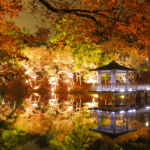 岡崎東公園、紅葉、ライトアップ、夜景、11月秋、愛知県岡崎市の観光・撮影スポットの画像や写真