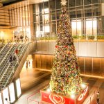 JRセントラルタワーズ・JRゲートタワー　クリスマスツリー　イルミネーション　名古屋市中区の観光・撮影スポットの画像や写真