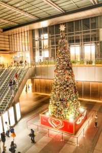 JRセントラルタワーズ・JRゲートタワー　クリスマスツリー　イルミネーション　名古屋市中区の観光・撮影スポットの画像や写真