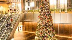 JRセントラルタワーズ・JRゲートタワー　クリスマスツリー　イルミネーション　名古屋市中区の観光・撮影スポットの画像や写真