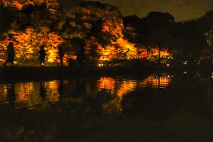 徳川園紅葉祭　ライトアップ　リフレクション　名古屋市東区の観光・撮影スポットの画像や写真