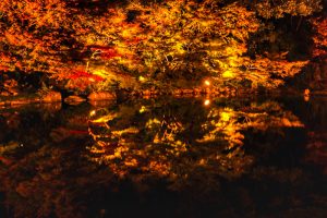 徳川園紅葉祭　ライトアップ　リフレクション　名古屋市東区の観光・撮影スポットの画像や写真
