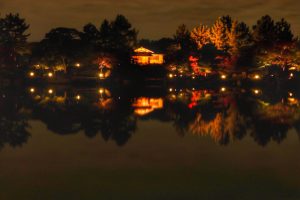 徳川園紅葉祭　ライトアップ　龍仙湖　リフレクション　名古屋市東区の観光・撮影スポットの画像や写真