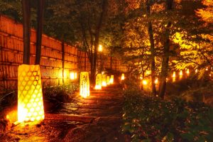 徳川園紅葉祭　ライトアップ　灯りみち　名古屋市東区の観光・撮影スポットの画像や写真