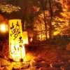 徳川園紅葉祭　ライトアップ　行灯　名古屋市東区の観光・撮影スポットの画像や写真