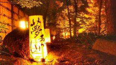 徳川園紅葉祭　ライトアップ　行灯　名古屋市東区の観光・撮影スポットの画像や写真