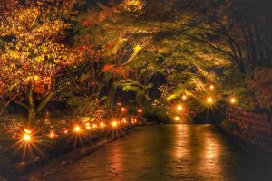 徳川園紅葉祭　ライトアップ　散策道　名古屋市東区の観光・撮影スポットの画像や写真