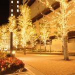 センチュリー豊田ビル　夜景　街路樹　ライトアップ　名古屋市中村区観光・撮影スポットの画像や写真
