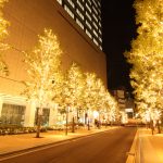 センチュリー豊田ビル　夜景　街路樹　ライトアップ　名古屋市中村区観光・撮影スポットの画像や写真