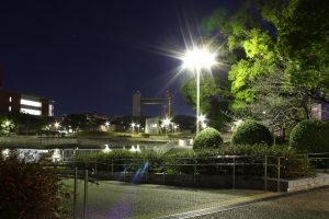 白鳥公園　夜景　名古屋市熱田区の観光・撮影スポットの画像と写真