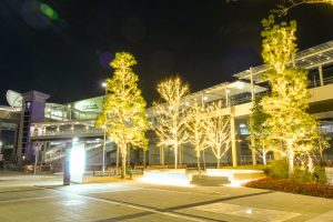ささしまライブ駅周辺　イルミネーション　夜景　中村区の観光・撮影スポットの画像と写真