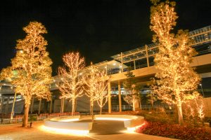 ささしまライブ駅周辺　イルミネーション　夜景　中村区の観光・撮影スポットの画像と写真
