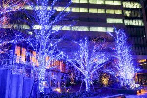 ルーセントタワー　イルミネーション　夜景　名古屋市中村区の観光・撮影スポットの画像や写真