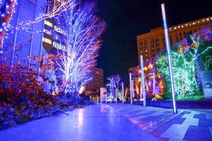 ルーセントタワー　イルミネーション　夜景　名古屋市中村区の観光・撮影スポットの画像や写真
