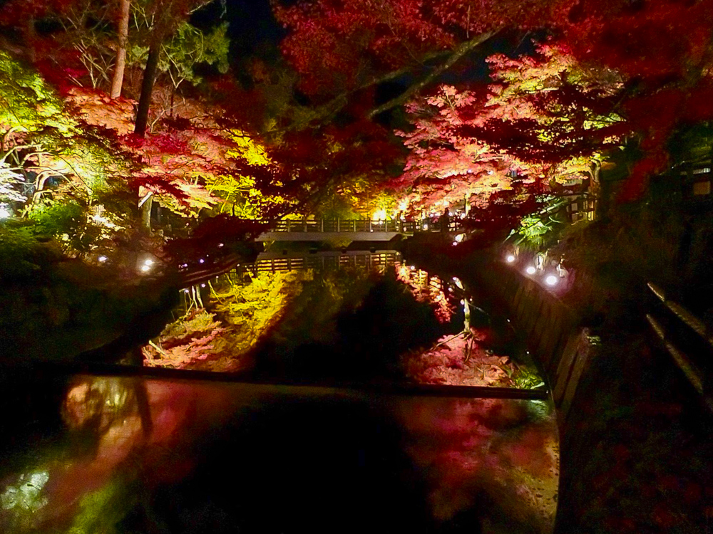 岩屋堂公園 紅葉祭り ライトアップ 愛知県瀬戸市の観光 撮影スポットの名所 東海カメラマップ