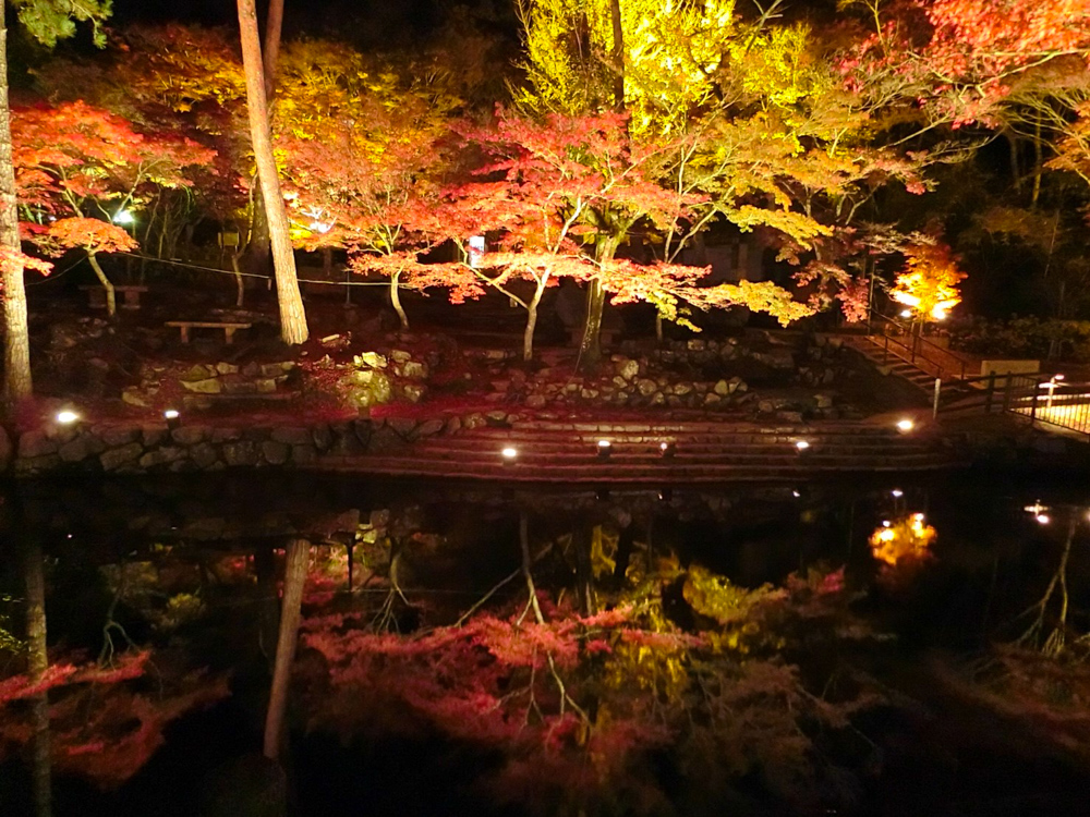 岩屋堂公園 紅葉祭り ライトアップ 愛知県瀬戸市の観光 撮影スポットの名所 東海カメラマップ