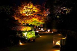 白鳥庭園　観楓会／あかりアート　紅葉　夜景　ライトアップ　リフレクション　名古屋市熱田区の観光・撮影スポットの画像と写真