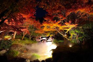 白鳥庭園　観楓会／あかりアート　紅葉　夜景　ライトアップ　リフレクション　名古屋市熱田区の観光・撮影スポットの画像と写真
