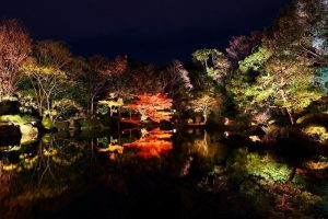 白鳥庭園　観楓会／あかりアート　紅葉　夜景　ライトアップ　リフレクション　名古屋市熱田区の観光・撮影スポットの画像と写真