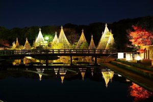 白鳥庭園　観楓会／あかりアート　紅葉　夜景　ライトアップ　リフレクション　名古屋市熱田区の観光・撮影スポットの画像と写真