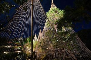 白鳥庭園　観楓会／あかりアート　紅葉　夜景　ライトアップ　リフレクション　名古屋市熱田区の観光・撮影スポットの画像と写真