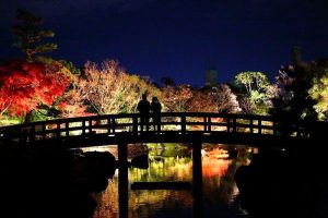 白鳥庭園　観楓会／あかりアート　紅葉　夜景　ライトアップ　リフレクション　名古屋市熱田区の観光・撮影スポットの画像と写真