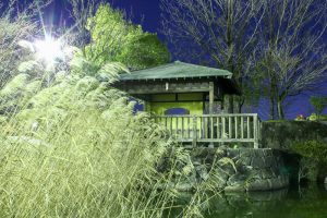 落合公園　小屋　すすき　夜景　ライトアップ　リフレクション　愛知県春日井市の観光・撮影スポットの画像と写真